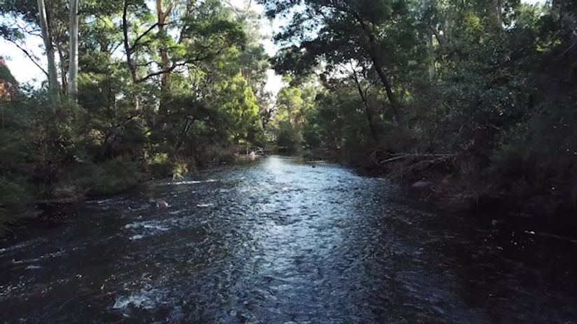 Clip 14 - Upper Yarra